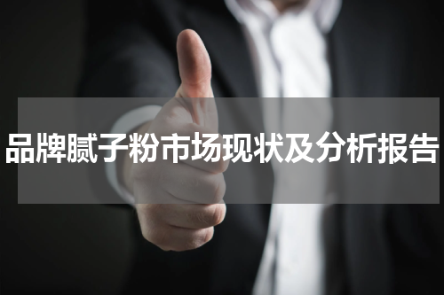 品牌腻子粉市场现状及分析报告