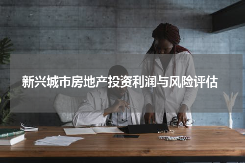  新兴城市房地产投资利润与风险评估